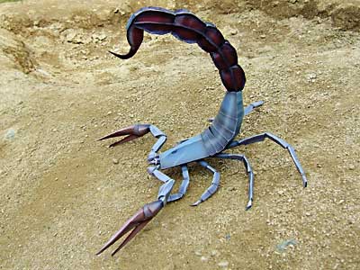 scorpion_papercraft.jpg