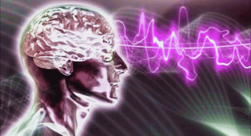 tumblr_mbkonzeMrQ1rgszodo1_500.gif