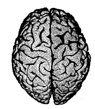 Image9.gif