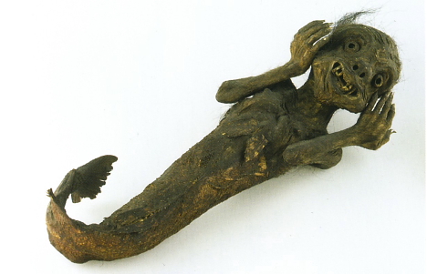 Mermaid mummy at the National Museum of Ethnology, Leiden.jpg