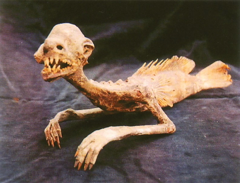 Mysterious mermaid mummy.jpg