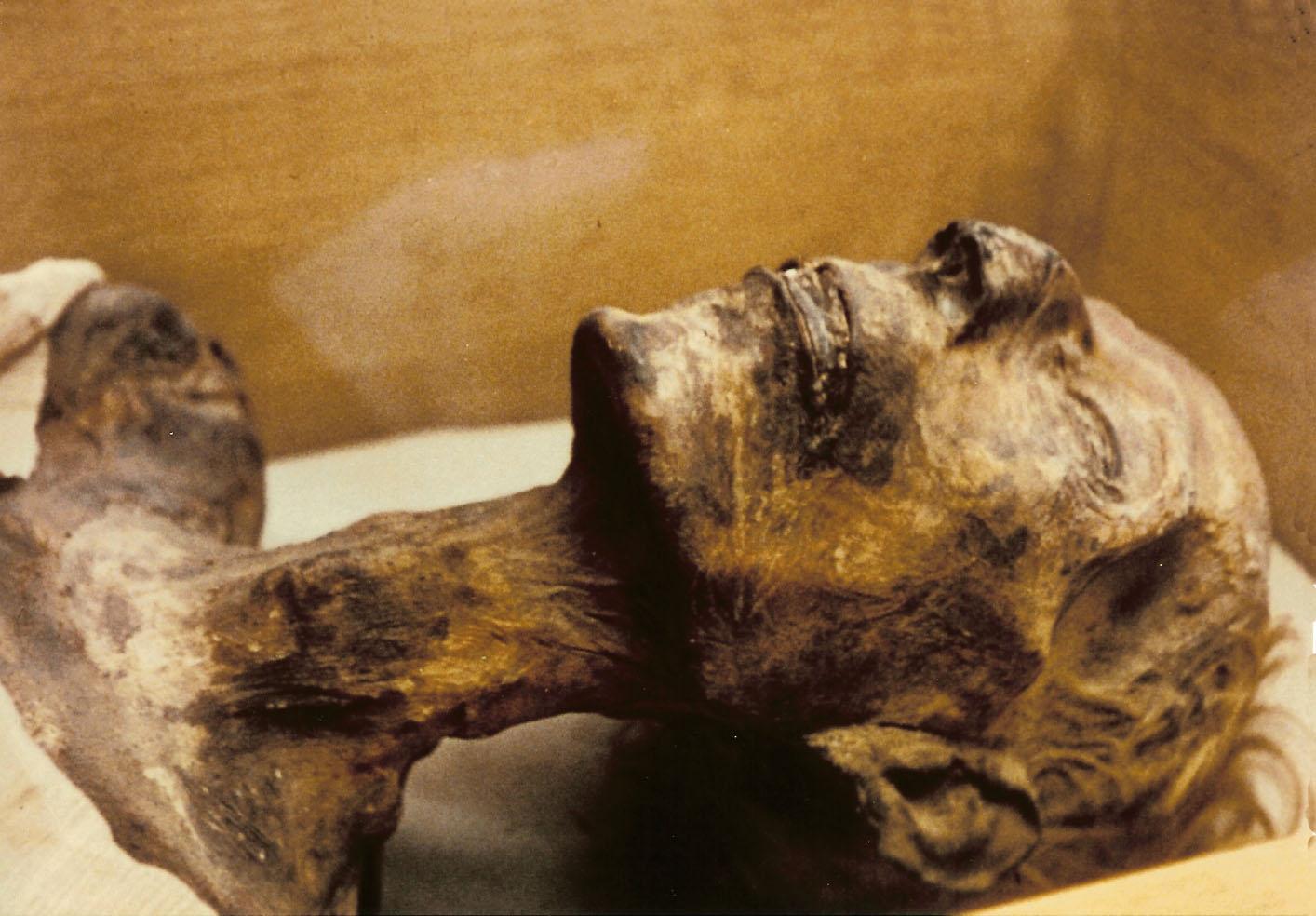 Mummy_of_Ramesses_II.jpg