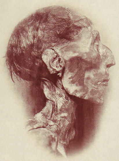 Ramses_II_Mummy_.jpg