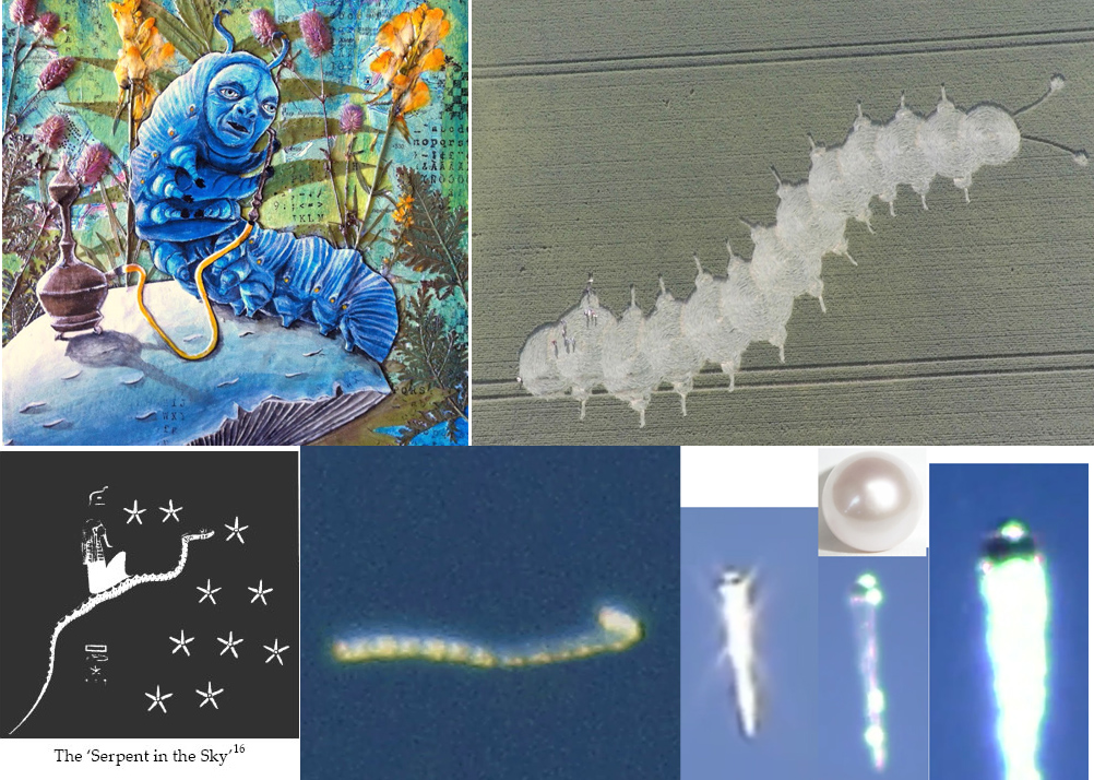 Sky serpent.jpg