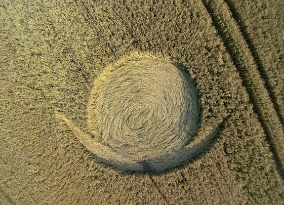 NL20150731_A_F.jpg