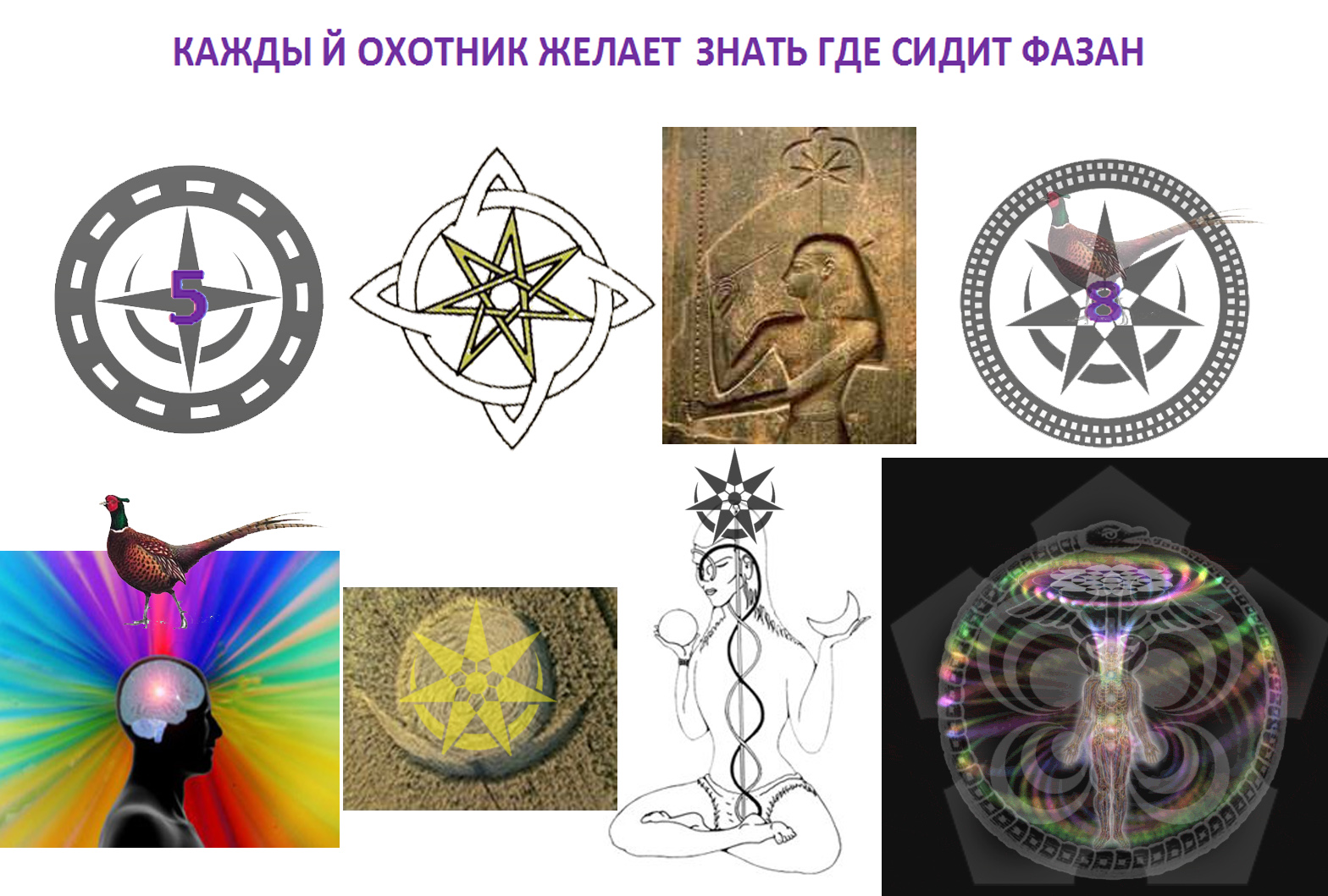 КОЖЗГСФ.jpg