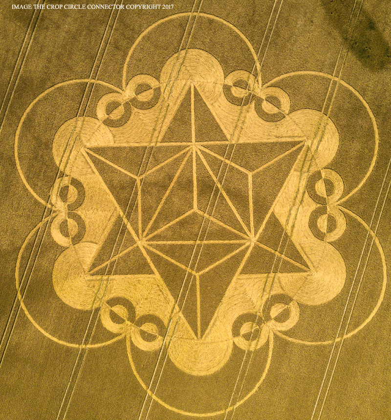 DJI_0389.jpg