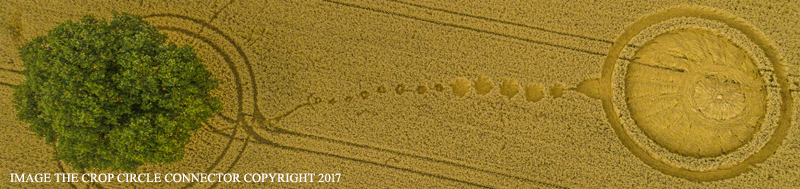 DJI_0036.jpg