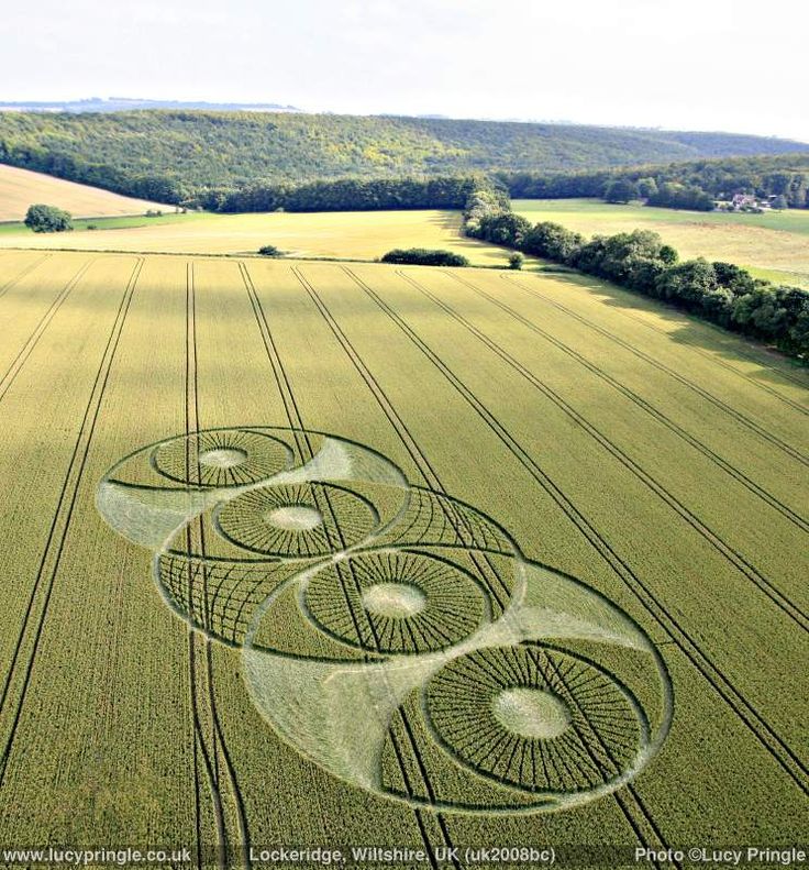 a2d9d6ef084323cd603e30eddc5fa22a--crop-circles-ancient-aliens.jpg