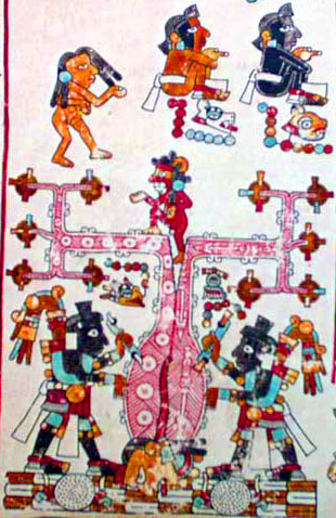 40936042_Ris.jpg