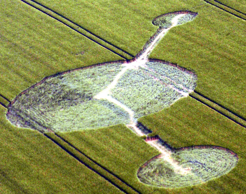 belgaercrop_03.jpg