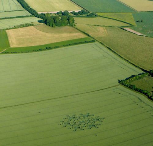 White Sleet Hill, Nr Mere, Wiltshire 1.jpg