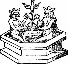 alimage061.jpg