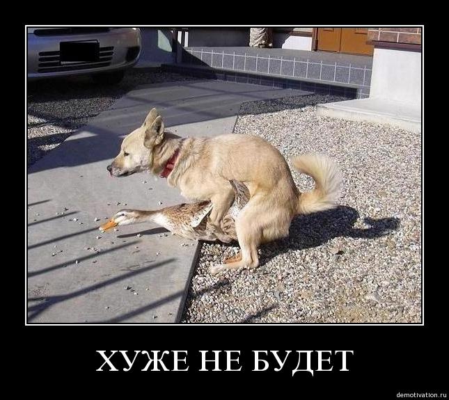 0bvbgdofv9sj.jpg