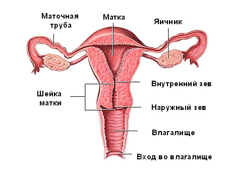 matka.jpg