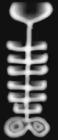 Peratt_Instability_simulation.JPG