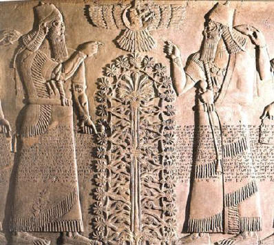 tree-of-life_mesapotamia.jpg