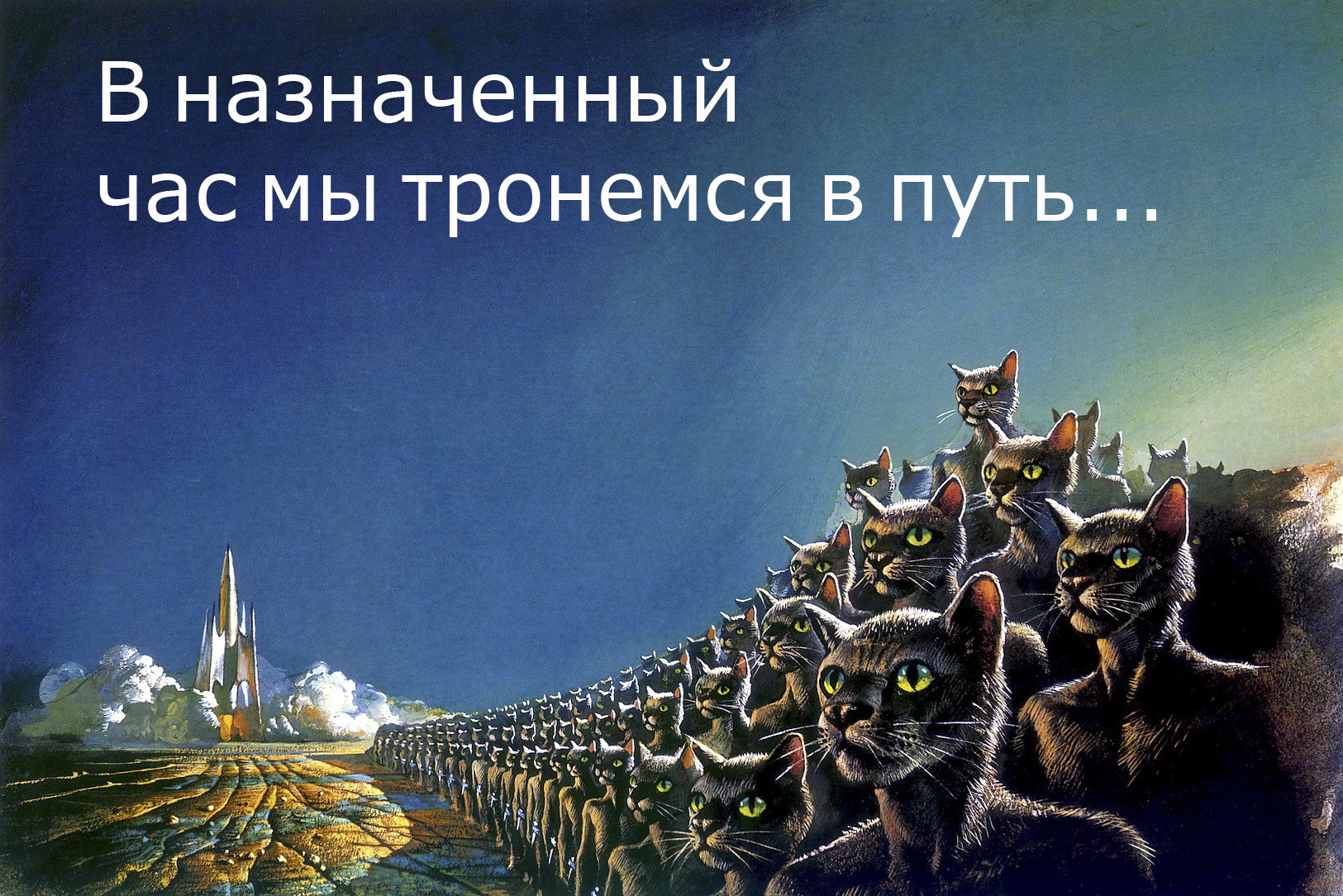 КОТЫ.jpg