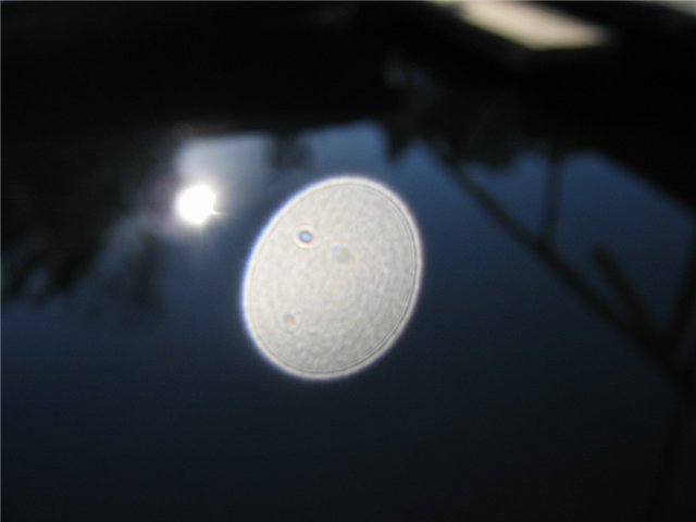 cd463c68a357.jpg