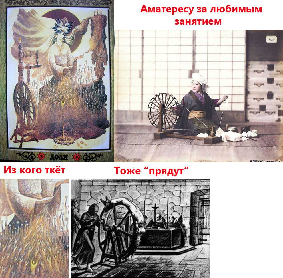 876.jpg