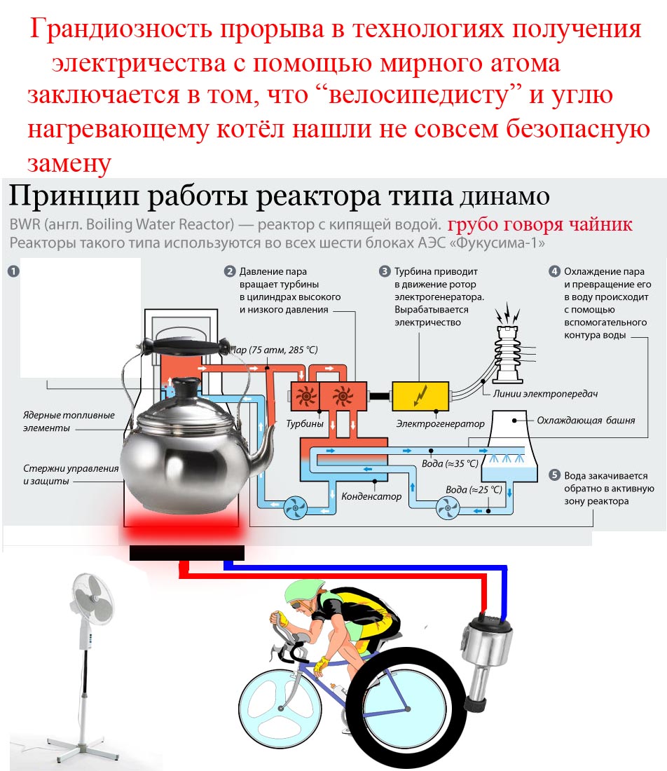 ДИНАМО2.jpg