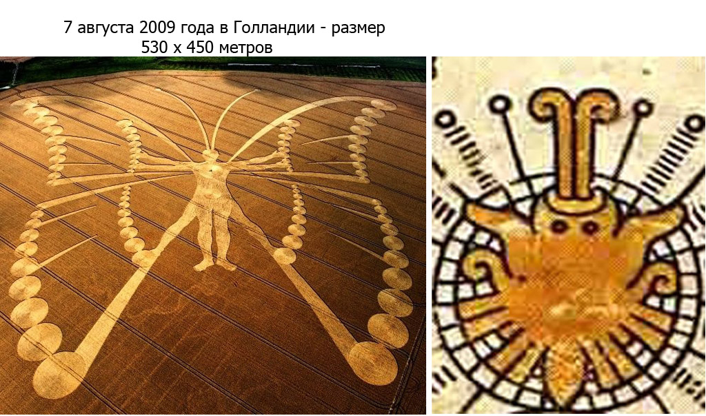 бабочка.jpg