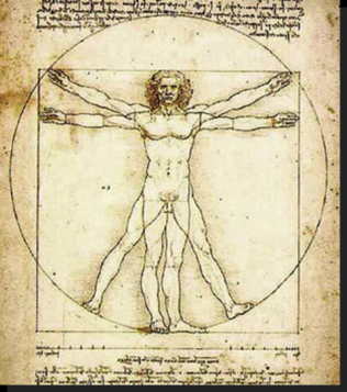 58866613_DaVinci_man.png