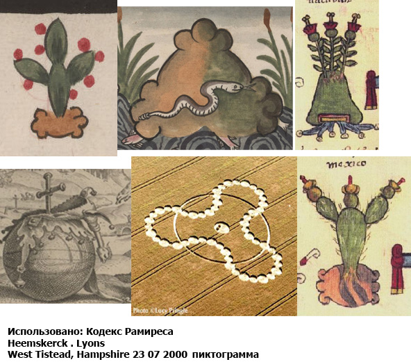 кактусы.jpg