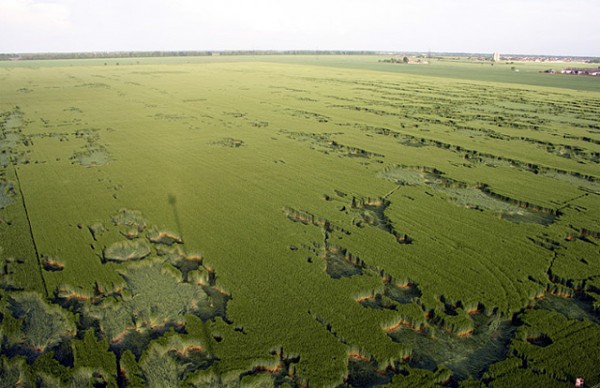 krugi_na_polyah_krasnodar_b1-600x388.jpg