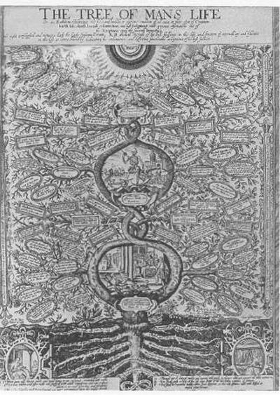 Древо человеческой жизни. Гравюра Дж. Годдарда. 1649. Лондон, Британский музей.jpg