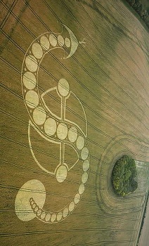 rivar2011a.jpg