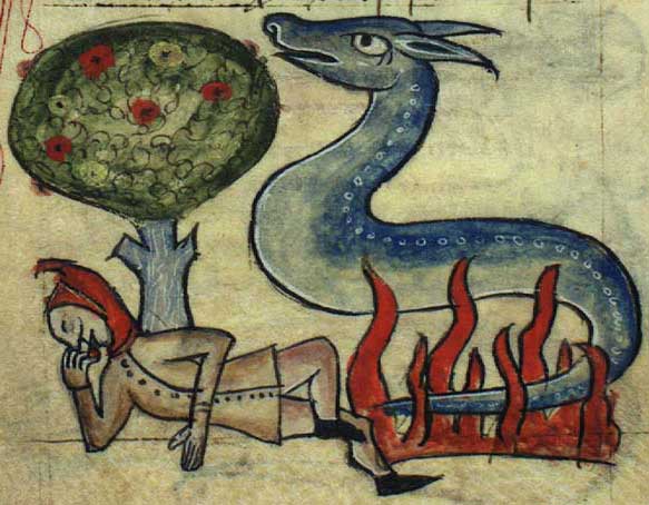 Salamander_in_fire.jpg