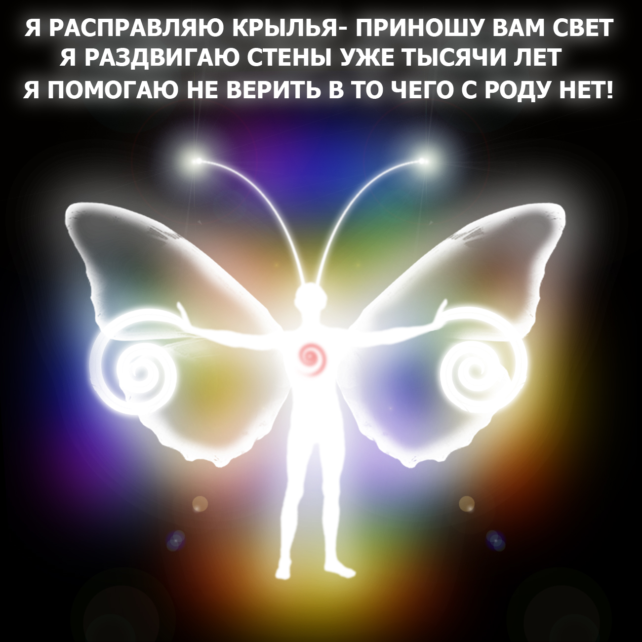 БАБОЧКА СВЕТОЗАР.jpg
