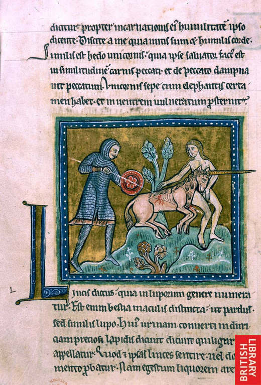 01_unicornis_1.jpg