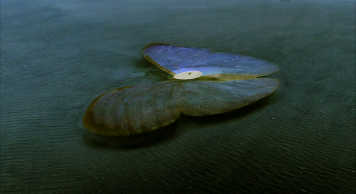 vlcsnap-2011-10-25-12h37m47s176.png
