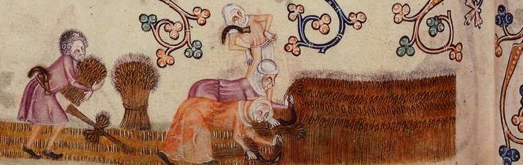Жатва.Псалтирь Лутрелла. Luttrell Psalter - Medieval workers reap and bind sheaves, c.1325-35.jpg