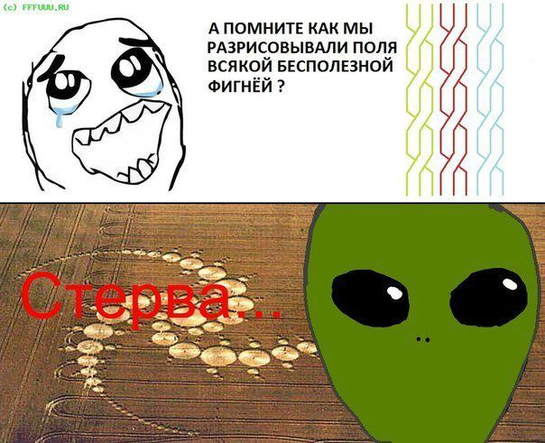 x_c485ea2a.jpg
