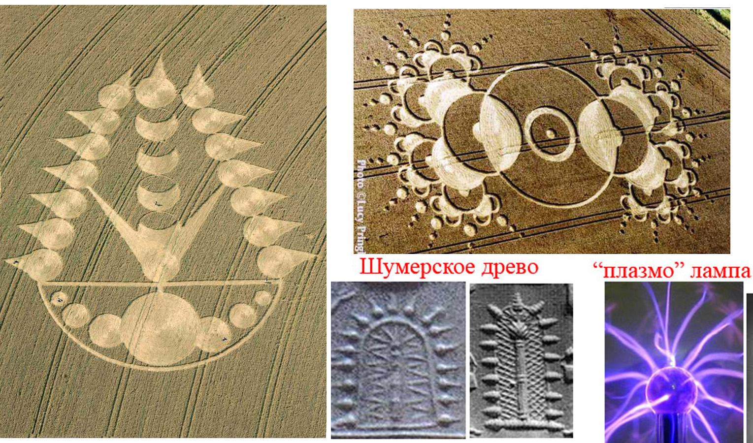 Чертополох.jpg