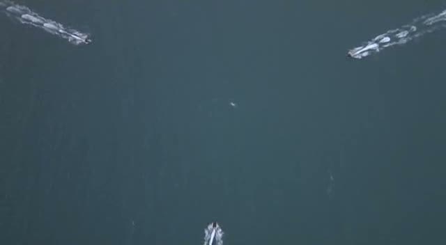vlcsnap-2012-04-10-22h36m31s215.jpg