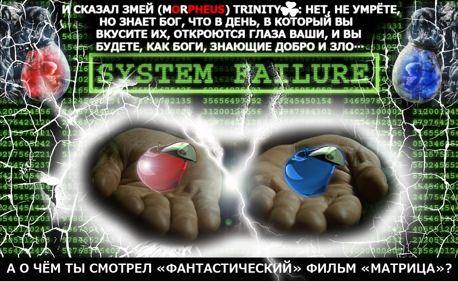 Адамово Яблоко-.jpg