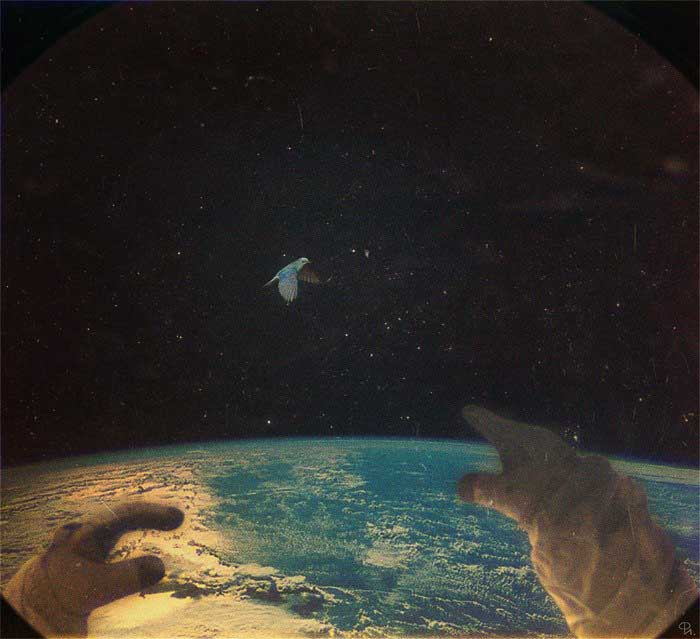 y_6fa57f80.jpg