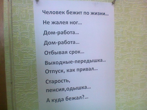 а искал куда бежать.....jpg