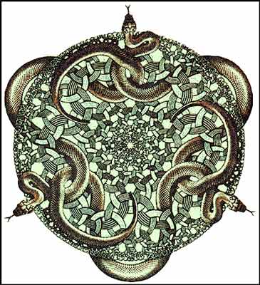 45650068_snakes.jpg