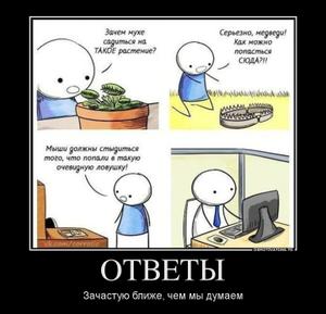 78654633_otvetyi.thumbnail.jpg