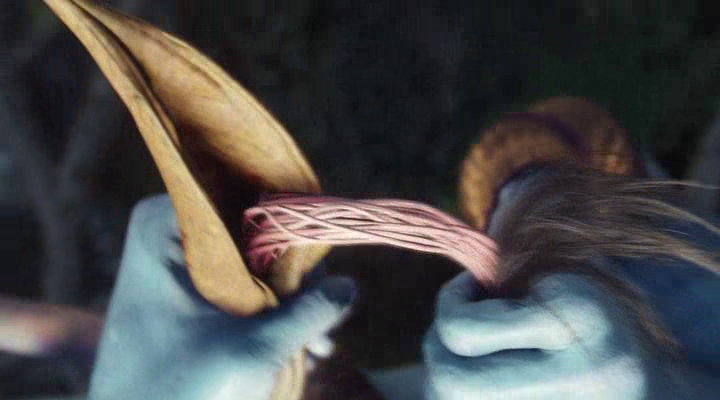 vlcsnap-2012-09-10-15h53m08s47.png