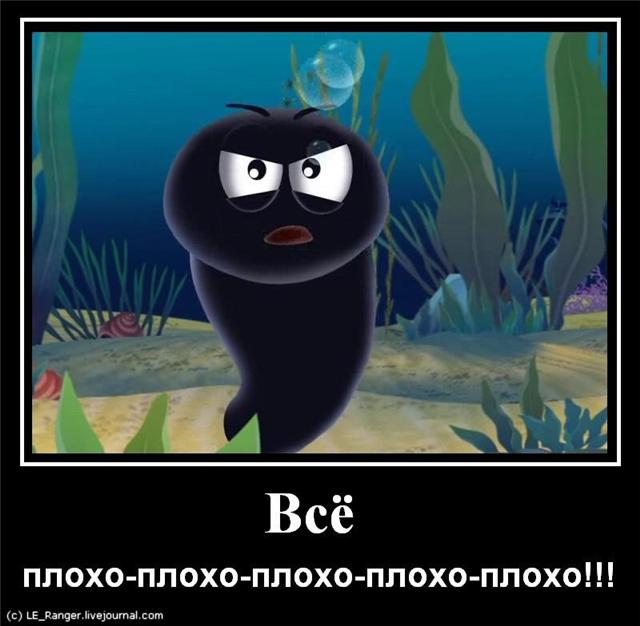0b22bec23bee88ad1ebf7ed9722716e6.jpg