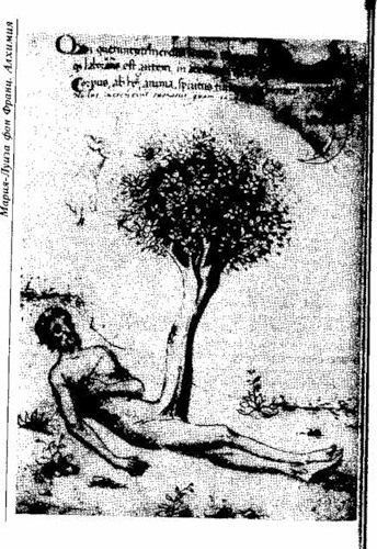 0_378ce_7c1abde8_L.jpg