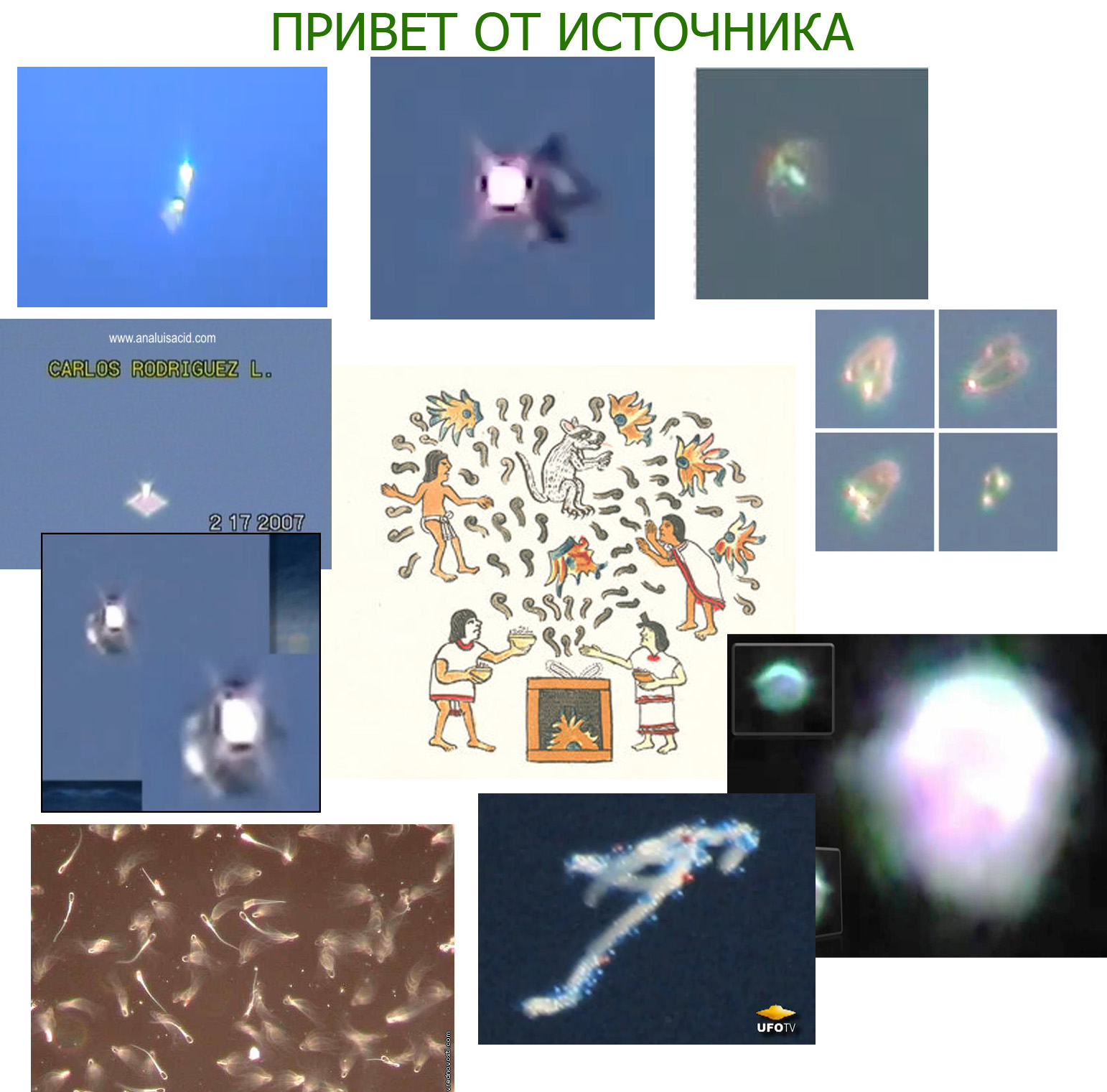 Семя небесное Мана.jpg