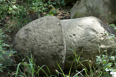 138203664.jpg