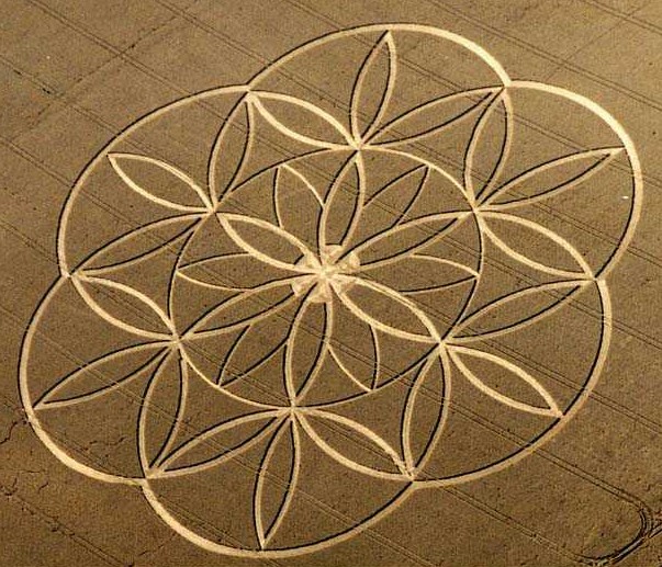 Flower of lifce crop circle.jpg